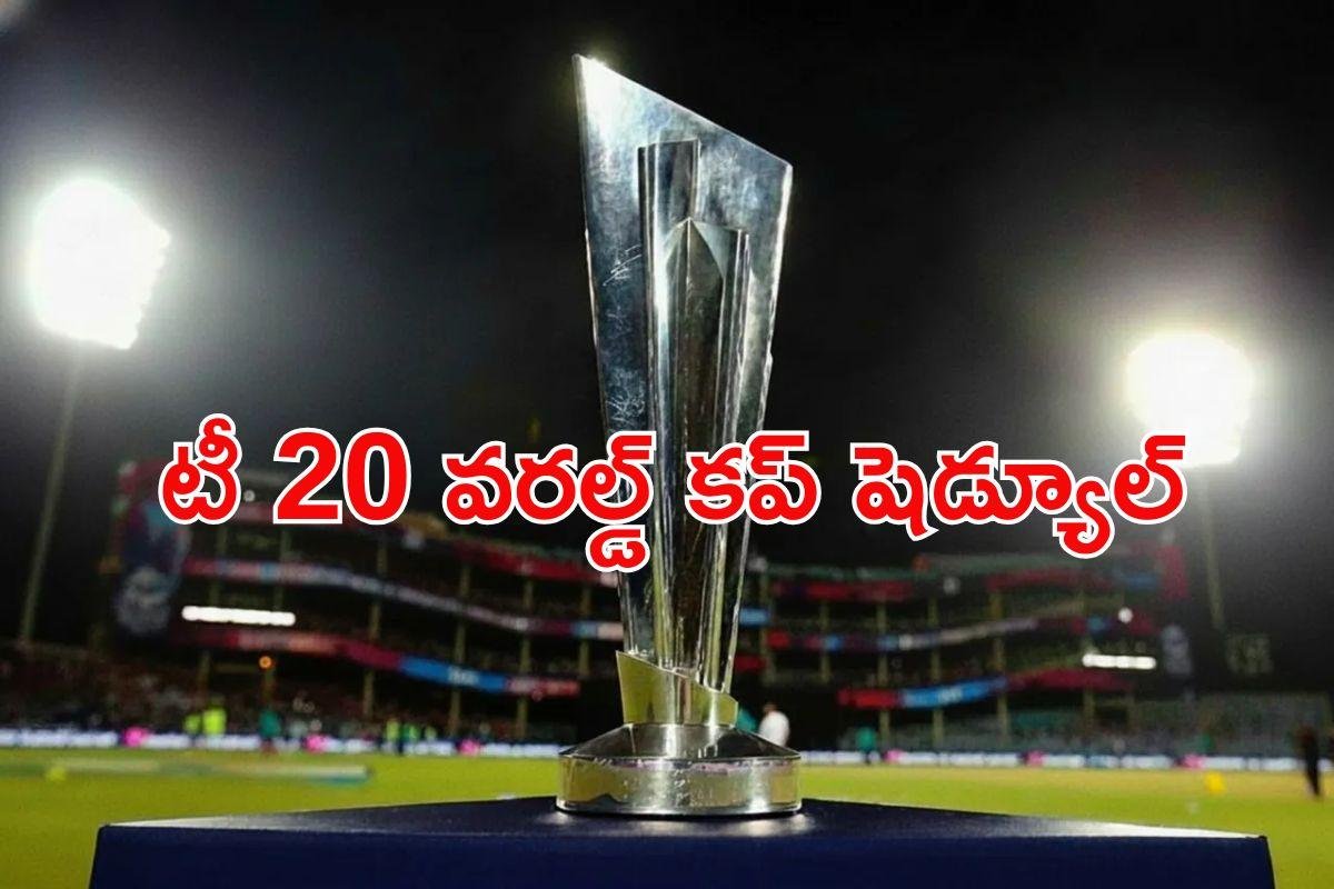 T20 World Cup 2026: టీ20 వరల్డ్ కప్ 2026 ఎక్కడ.. ఎప్పుడు . . ఎలా జరుగుతుందంటే